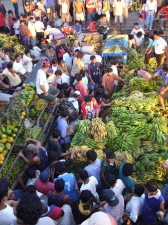 Amazon Jungle, Barge