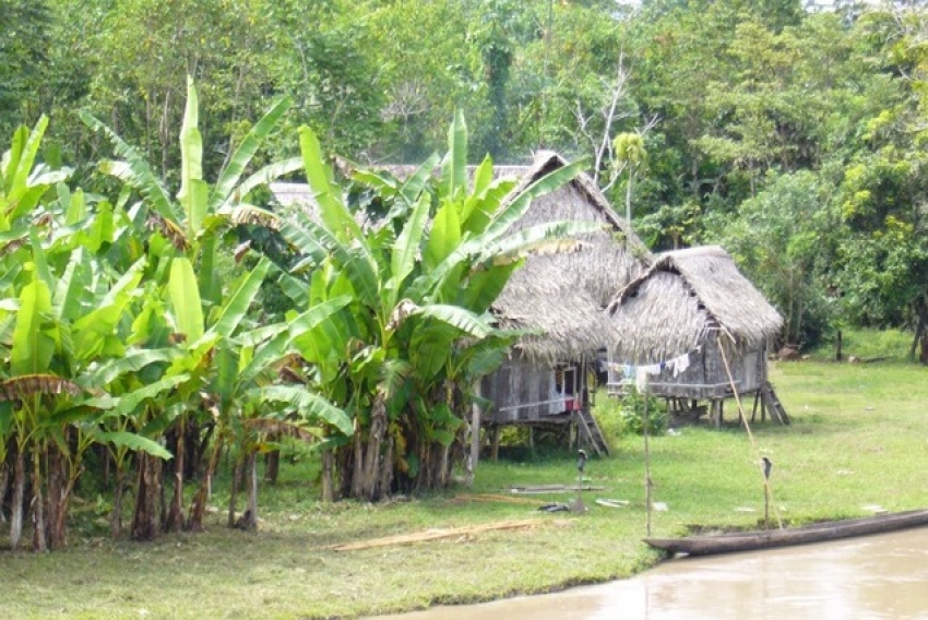 Housing in the Amazon Rainforest