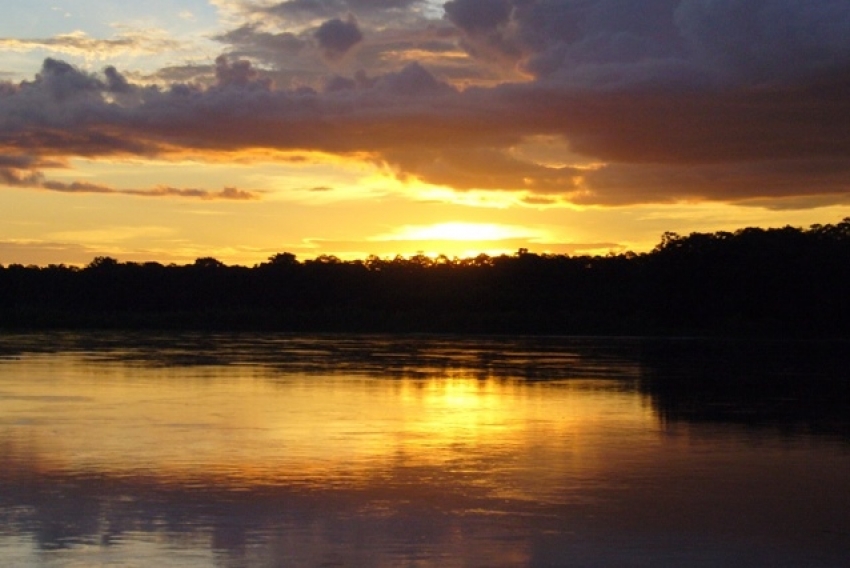 Sunsets in the Amazon Rainforest