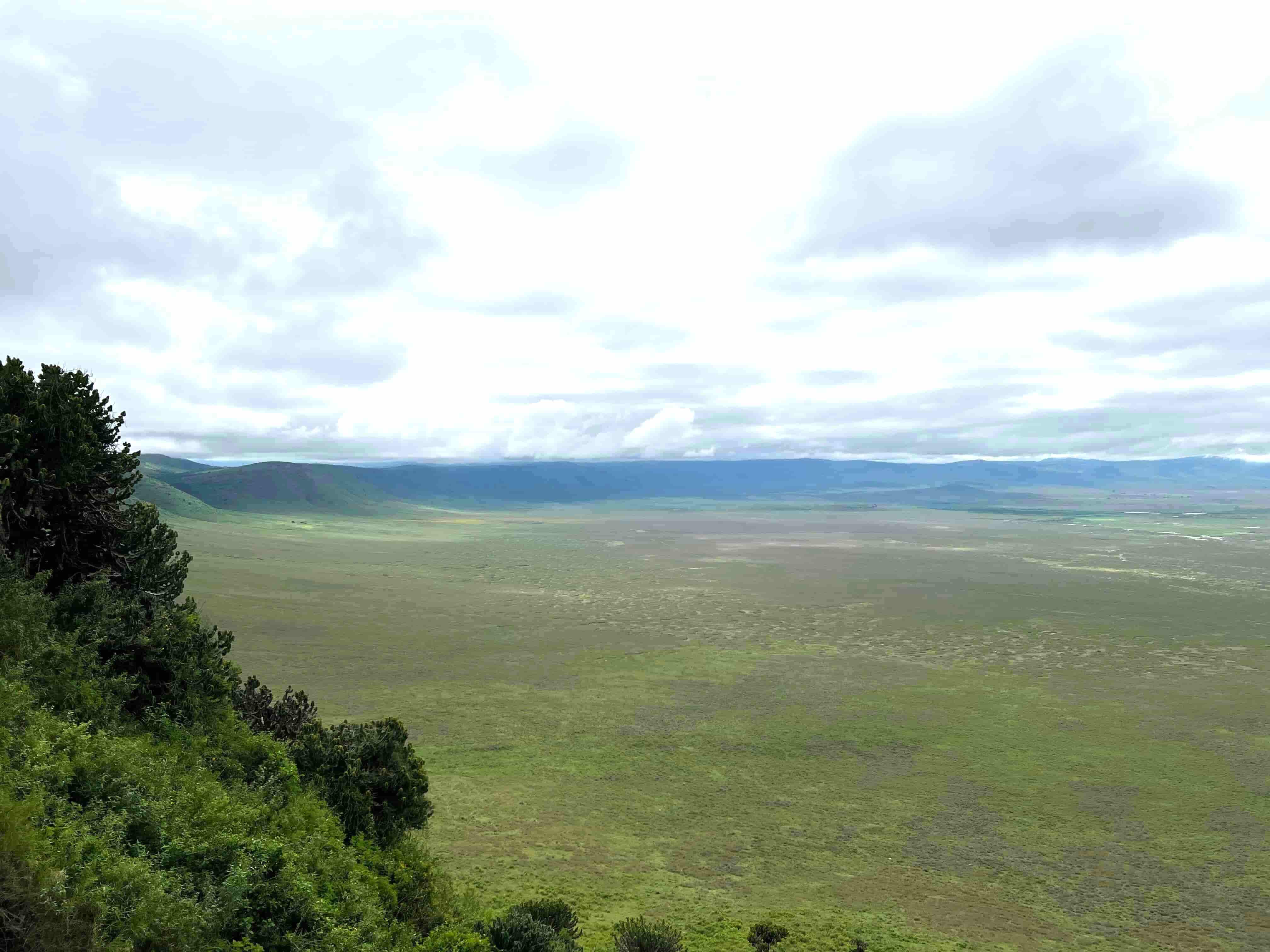 Scenery in Ngorongoro crater.