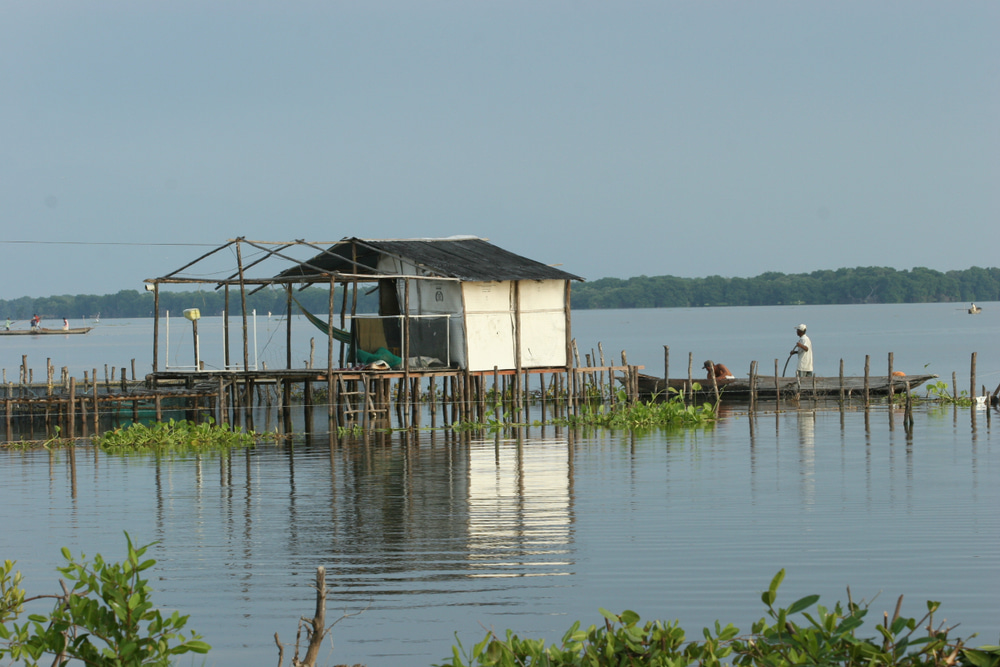 Wooden stilt houses in Colombia, along the AmaMagdalena itinerary.
