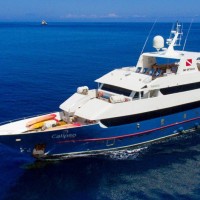 M/Y Calipso