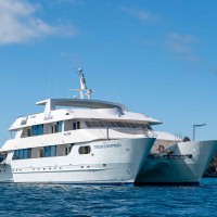 Treasure of Galapagos