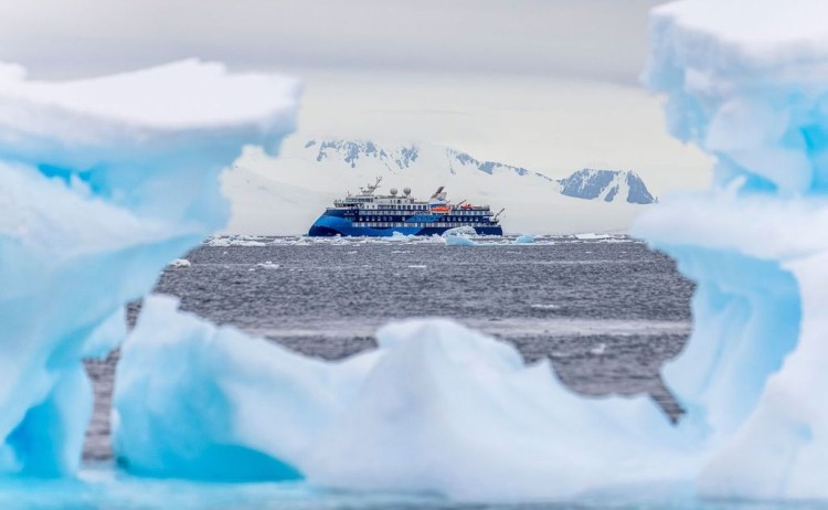 Antarctic Sound Ocean Albatross