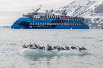 Highlights of the Southern Spring | Ocean Albatros