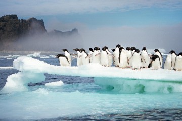 Antarctica Peninsula & Extreme Weddell Sea
