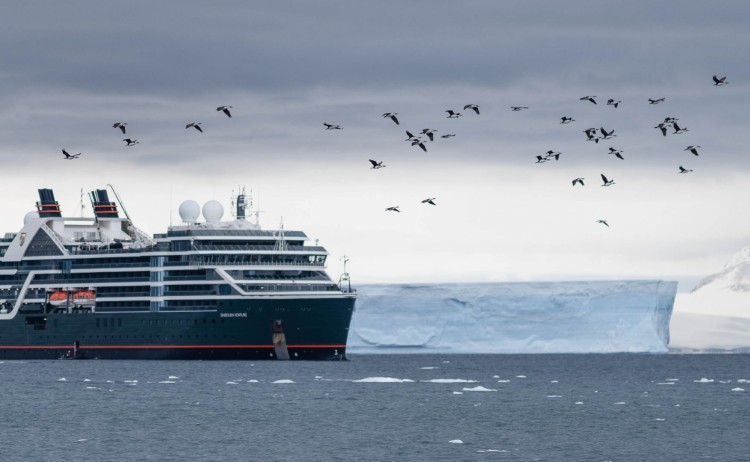 Seaborn Antarctica Brown Bluff 6