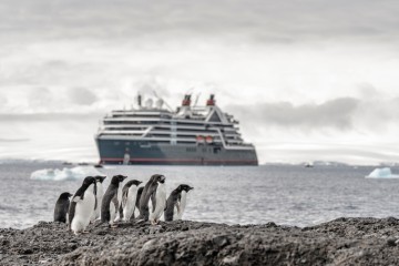 Antarctica, S Georgia & Falkland Islands | Venture