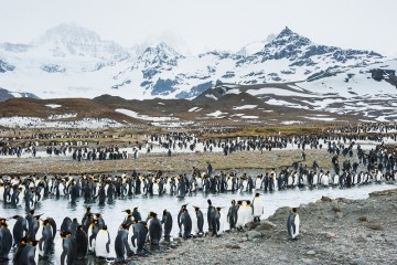 Falkland Islands, South Georgia and Antarctica