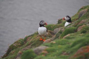 Arctic Saga: Spitsbergen, the Faroes and Jan Mayen