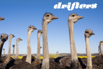 Cape Kaleidoscope: Small Group Traveller Tour