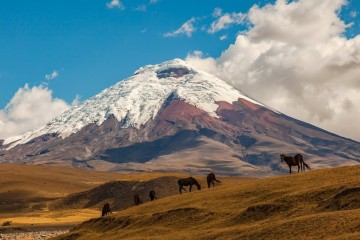 Unique Stay: Cotopaxi Volcano Hacienda 