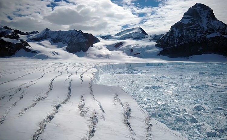 Antarctica S39