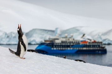 Antarctica All Access | Ocean Albatros