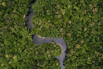 Eco Park Amazon Lodge - Brazil Amazon