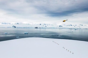 Epic Antarctica: Circle, Falklands & South Georgia