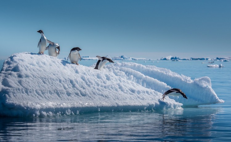 Antarctica 4