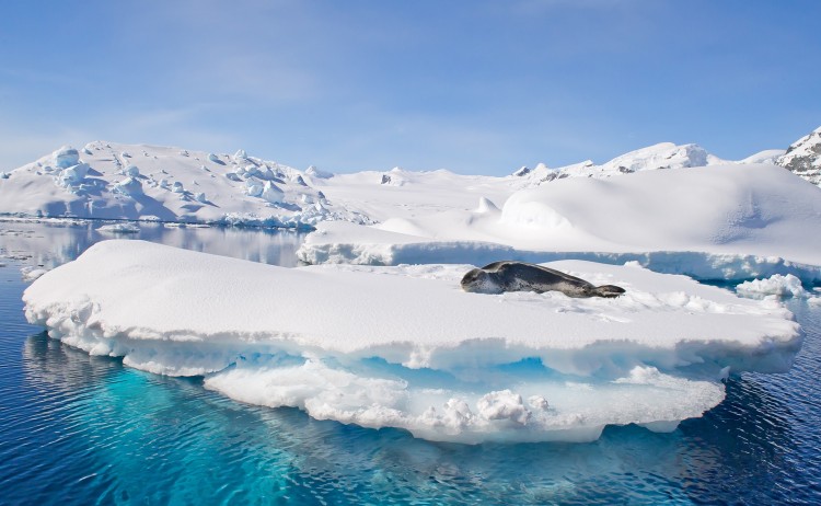 Antarctica 3