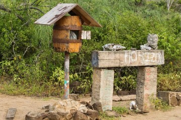 Galapagos: Galaxy Diver II | 8 days