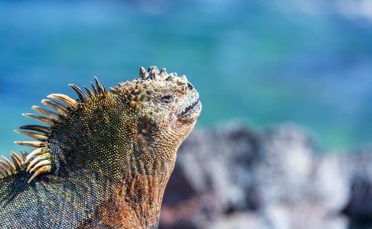 shutterstock 450129292