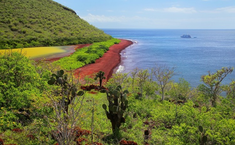 Galapagos
