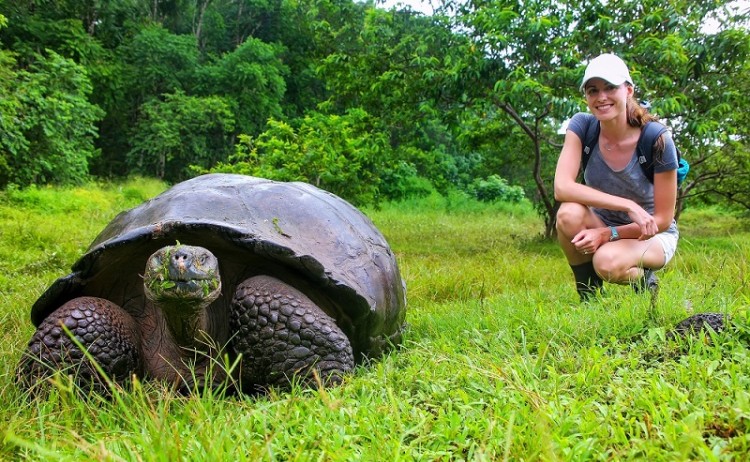 Galapagos Tortoise 729071953 800