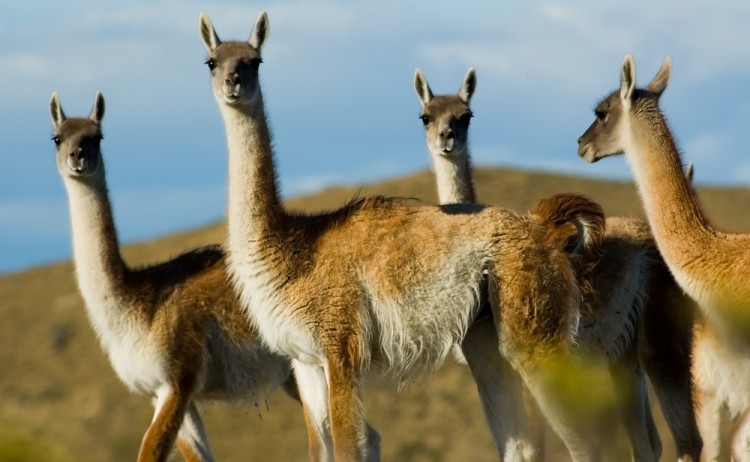 shutterstock 11442289