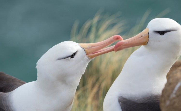 shutterstock 1832892577