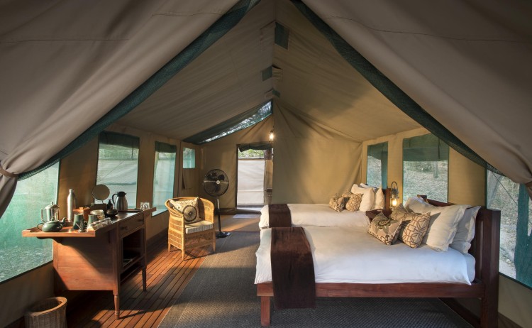 Kanga Camp 11