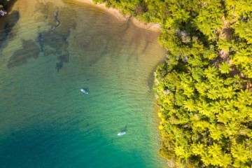 Marlborough and Queen Charlotte Track