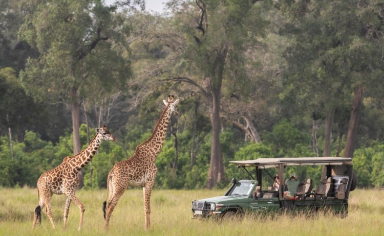 game drives 1