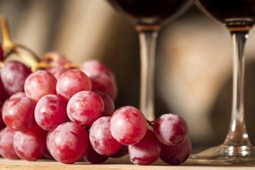 Mendoza Wine Country