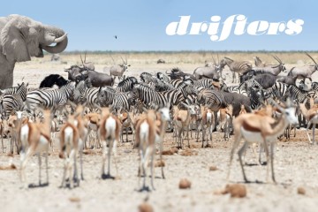 Namibia Adventure: Small Group