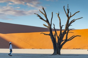 Namibian Muse: Women’s Small Group Tour