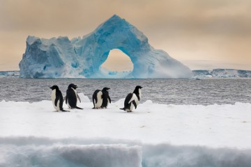 Quest for the Weddell Sea