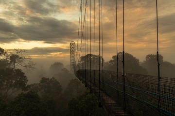 Sacha Lodge - Amazon Jungle Ecuador