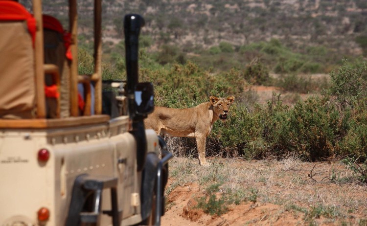Saruni Samburu 1