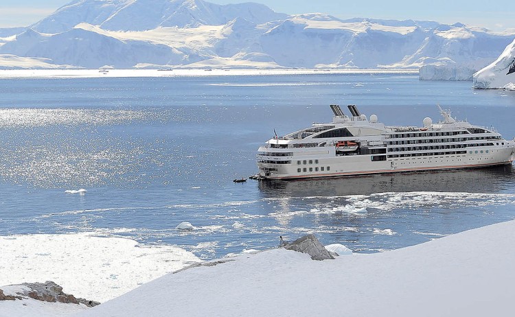 Le soleal antarctica