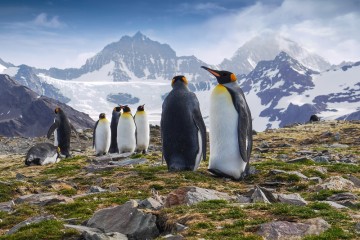 South Georgia & Antarctica | Seaventure