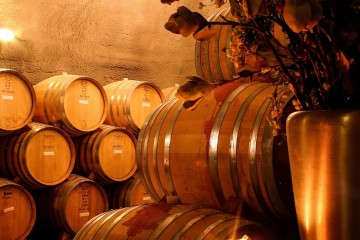 South Island Explorer