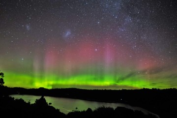 Stewart Island Dark Sky Delights: Small Group Tour