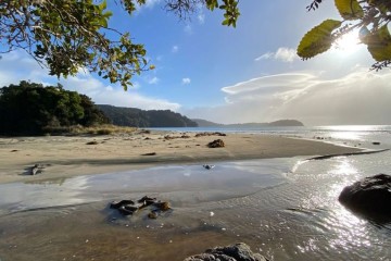 Stewart Island Rakiura: The Land of Glowing Skies