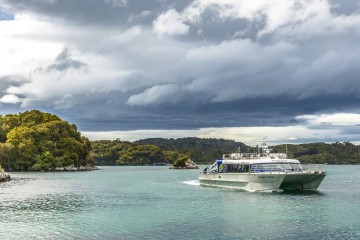 Stewart Island Rakiura: The Land of Glowing Skies