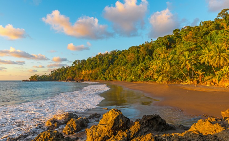 Tamarindo 2