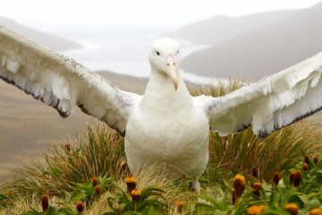 The Forgotten Islands of the South Pacific