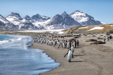 The Great Austral Loop: Antarctica