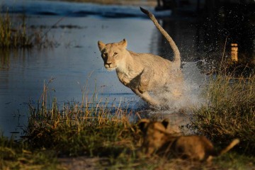 The Great North Road: Small Group