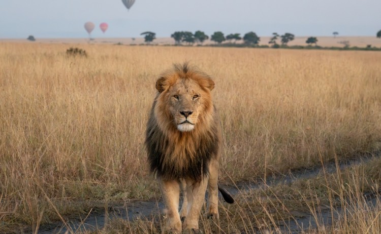 shutterstock 2363304559 1