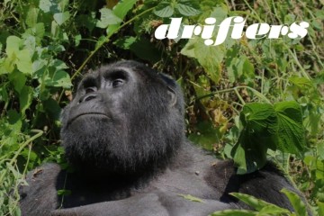 Uganda Wildlife Explorer: Small Group