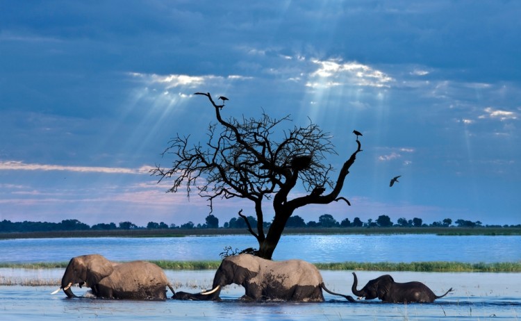 shutterstock 1759511174